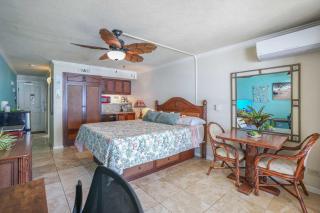 Islander on the Beach 328 - Kapaa - 1