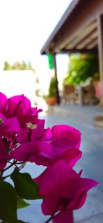 Merkez Kumsal Pansiyon - Bodrum - 9