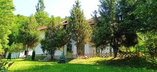 INTRE CASCADE - Baia de Arieş - 8