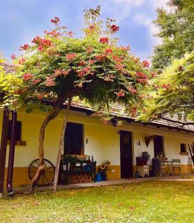 Lassu Tanya Vendégház - 7