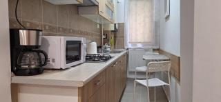 Enci House Apartment - Târgu Mureș - 7