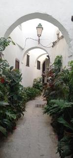 Maison De La Lune - Tétouan - 9