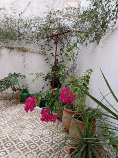 Maison De La Lune - Tétouan - 3