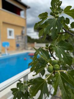 Holiday House Marija - Skradin - 5