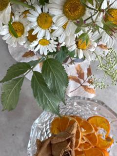 Appartamenti Vacanze Fra-I-Cup PT - Alfiano Natta - 1