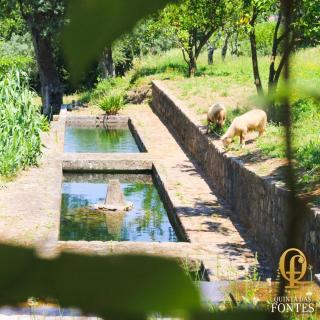 Quinta das Fontes - 9