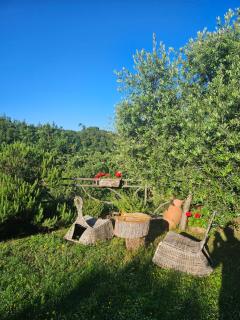 San Martino Country Villa B&B - Barberino di Mugello - 4