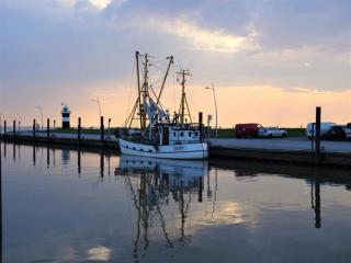 Dodegge - - 4
