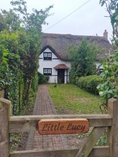 Little Lucy - - 0