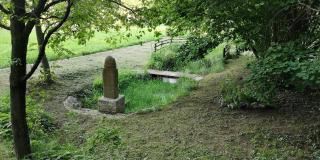 Cserépmadár szállás és Csinyálóház - 8