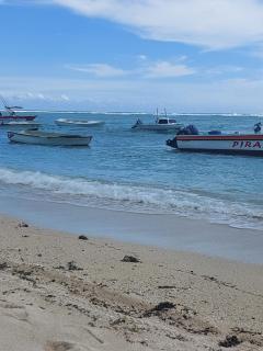 Bord de mer lagon bleu - Albion - 1