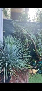 Les pieds dans l eau de Betty Ghisonaccia plage 50 m - 5