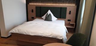 Appart Hotel Pitschonia Self Check-In - Andeer - 4