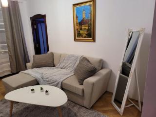 Vintage Apartment Old Center - Braşov - 8