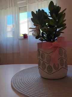 Home sweet home - Zadar - 5