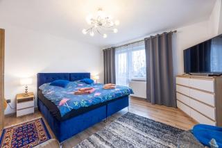 Apartament u Sabiny i Stanleya - 8