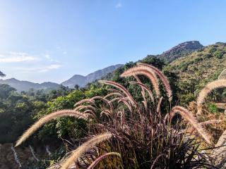 Ridge House for 4-10 PAX - Mount Ābu - 8