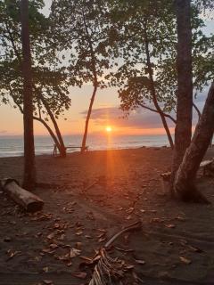 Manzanillo Ecolodge - 7