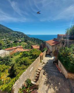 La Casa sul Blu Albergo Diffuso - Pisciotta - 0