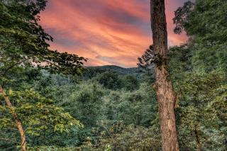 Points of View - Mineral Bluff - 4