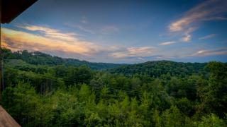 4 Leaf Clover - Blue Ridge - 4
