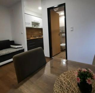 Studio Djukić Sokobanja - Soko Banja - 6