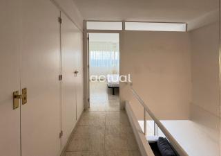 Cavall Bernat II - Platja d'Aro - 5