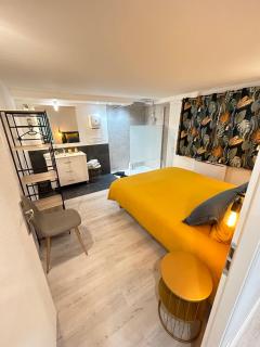 Appart-one terrasse jacuzzi parking - Carcassonne - 8