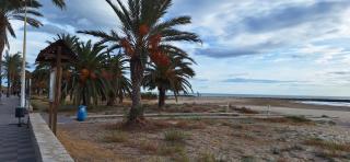 Vacaciones en el mar - Puerto de Sagunto - 5
