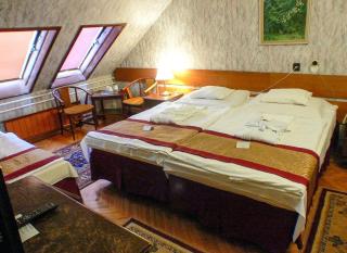 Hotel Tisza és Thermálfürdő - Szolnok - 9