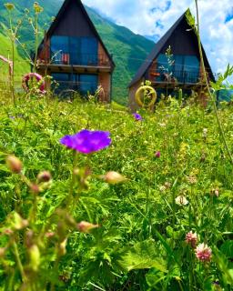Royal Cottages - Kazbegi - 2
