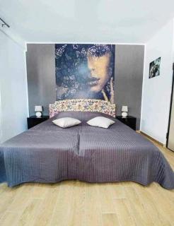 Carla Studio - 0