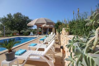 Wonderful villa Palera II with pool, immersed in the nature near the beach - Ližnjan - 4