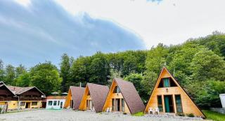 Casa Ursu - Cârțișoara - 0