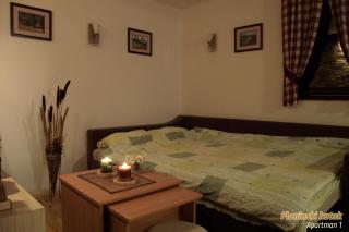 PLANINSKI KUTAK Tara - Apartman 1 - Bajina Bašta - 3