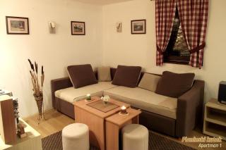 PLANINSKI KUTAK Tara - Apartman 1 - Bajina Bašta - 8