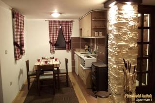 PLANINSKI KUTAK Tara - Apartman 1 - Bajina Bašta - 5