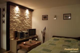 PLANINSKI KUTAK Tara - Apartman 1 - Bajina Bašta - 6