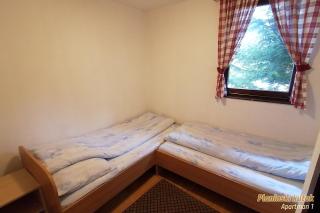 PLANINSKI KUTAK Tara - Apartman 1 - Bajina Bašta - 2