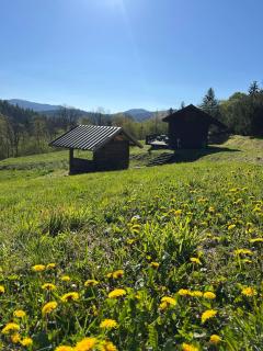 Pod dobrym adresem-domek na łące - 6