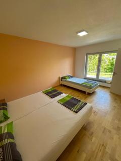 Apartments David - 1