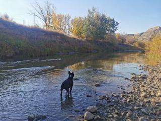 D4 Badlands Bunker Dome- 1 Queen Pet Friendly - Drumheller - 3