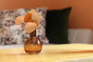 Reine Superior Panorama House - 1