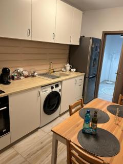 Cozy Apartment 130E by Plaza - Bucharest - 3