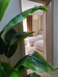Guest House Shyti - Berat - 1