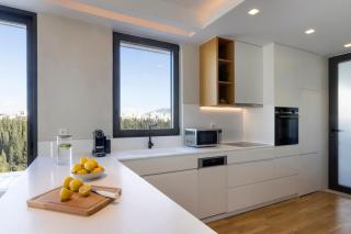 Elegant Penthouse Acropolis View - Atene - 4