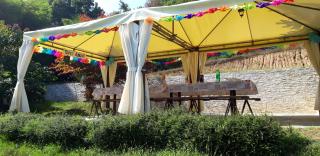 Istanti - Bambù - 7