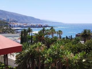 Rosi's Valle Luz - Puerto de la Cruz - 9