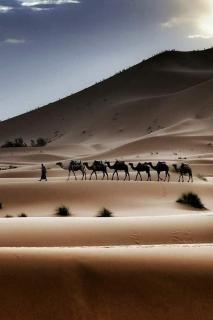 Unforgettable Nights - Merzouga - 3