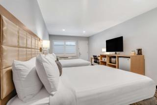 Sather Berkeley - SureStay Collection by Best Western - Berkeley - 7
